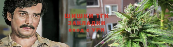 СК Горнозаводск