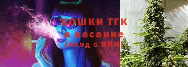 прущая мука Горняк